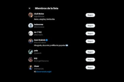 Algunos de los miembros de la lista que creó Victoria Villarruel. Entre ellos, el dirigente social Juan Grabois