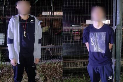 Algunos de los ocho delincuentes detenidos por robar notebooks en escuelas porteñas