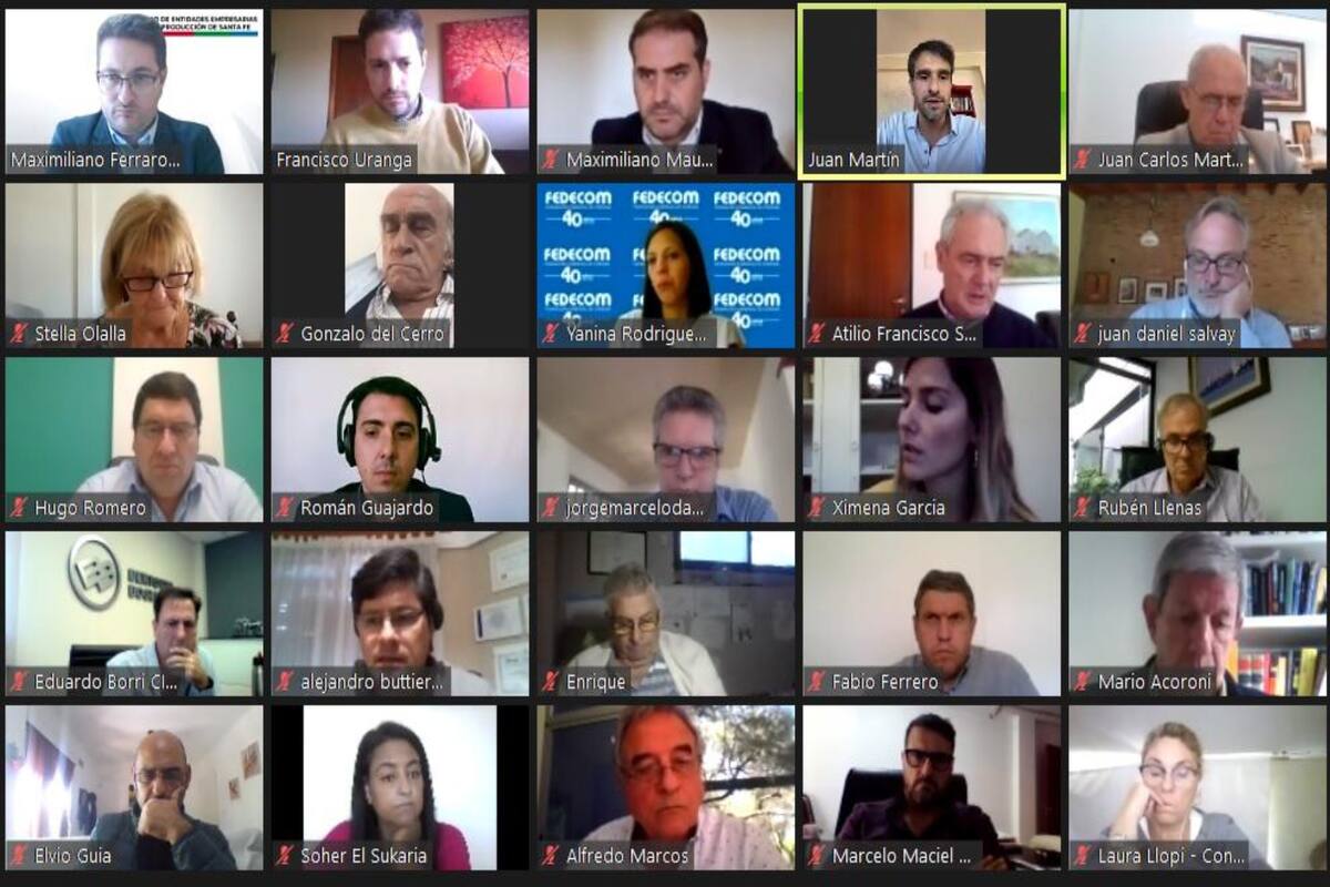 Algunos de los participantes de la reunión virtual por la ley de biocombustibles