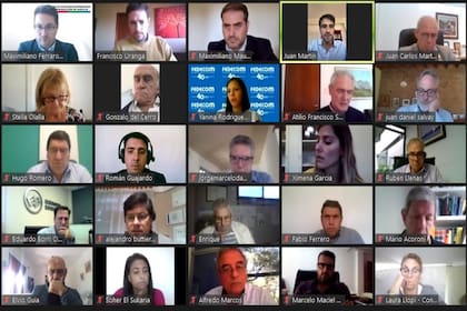 Algunos de los participantes de la reunión virtual por la ley de biocombustibles