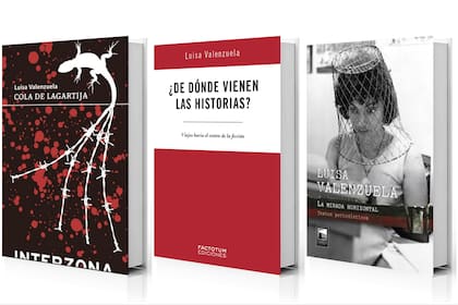 Algunos de los títulos de la Biblioteca Luisa Valenzuela: "Cola de lagartija (Interzona)", "¿De dónde vienen las historias?" (Factotum) y "La mirada horizontal" (Marea)