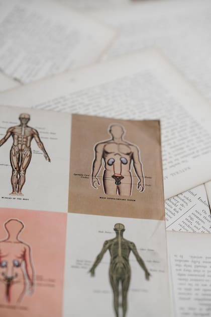 Algunos estudiantes de medicina se enfermaron por estar en contacto con cadáveres en grave estado de descomposición