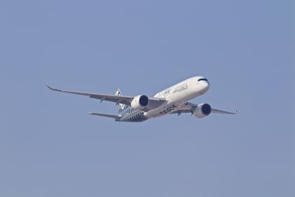 Algunos expertos han afirmado que las turbulencias son poco peligrosas durante los viajes en avión