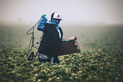 Algunos inmigrantes que tienen trabajos agrícolas en California no pueden acceder a beneficios de los programas federales de asistencia en desastres