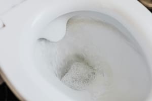 Algunos inodoros podrían tener baja presión de agua, para ello existen trucos infalibles que mejorarán su funcionamiento
