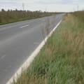 Buscan autorizar la siembra de 50.000 hectáreas al costado de las rutas nacionales