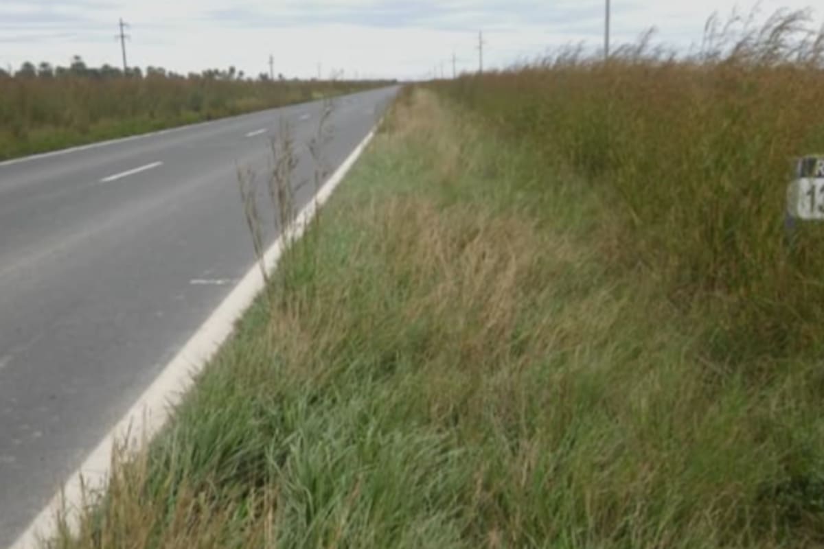 Algunos municipios bonaerenses permiten la siembra en las áreas aledañas