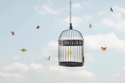 Algunos pacientes describieron el cáncer como un “encarcelamiento”, una sensación de estar atrapado, como un “pájaro libre en una jaula"