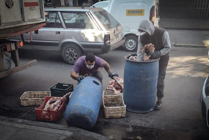Algunos seberos llegan a recorrer hasta 40 carnicería por día