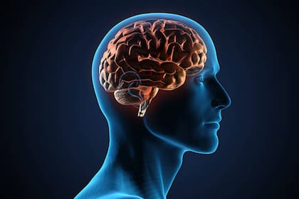 Algunos síntomas de la afantasía son los problemas relacionados con la memoria visual, dificultad para imaginar objetos e imposibilidad de crear imágenes en la mente