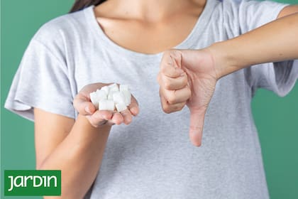 Algunos trucos virales aseguran que al añadir azúcar al agua, las plantas reciben energía extra que impulsa su crecimiento