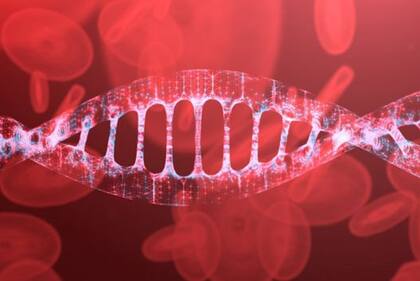 Algunos virus cometen muchos errores al replicar su genoma y eso complica nuestra reacción a ellos porque se transforman.