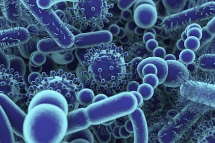 Algunos virus gigantes pueden llegar a medir tanto o más que algunas bacterias pequeñas