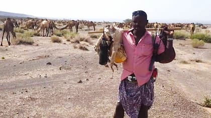 Ali Umer afirma que en el último mes perdió ocho crías de camello debido al calor extremo