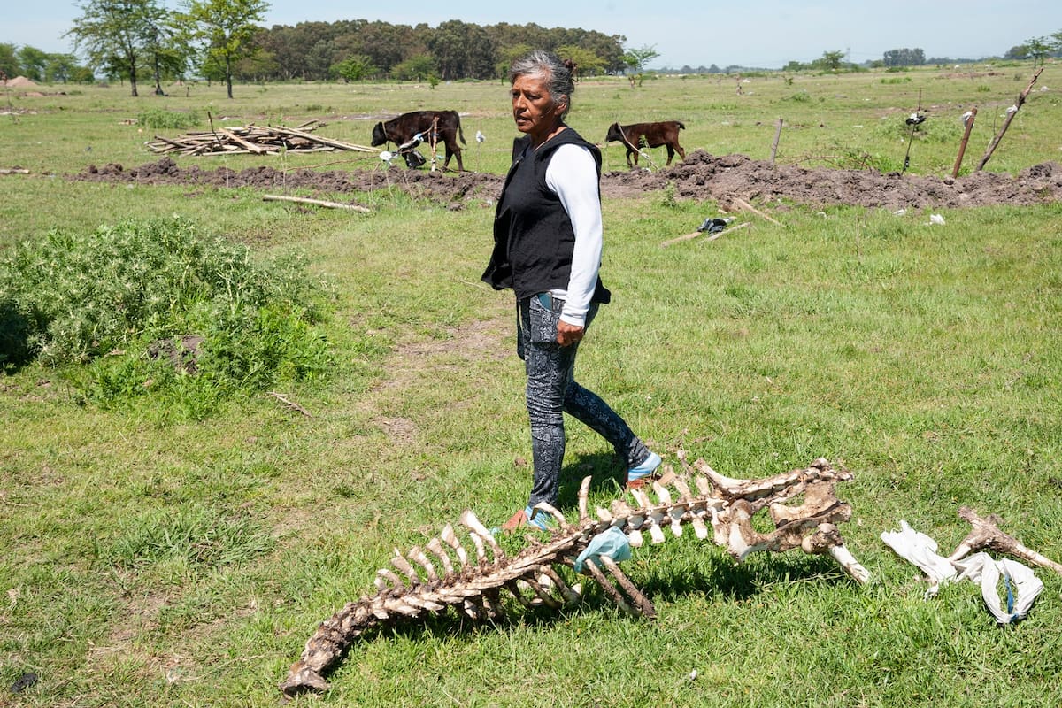 Alicia Enriquez, dueña del campo de Guernica que fuera desalojado