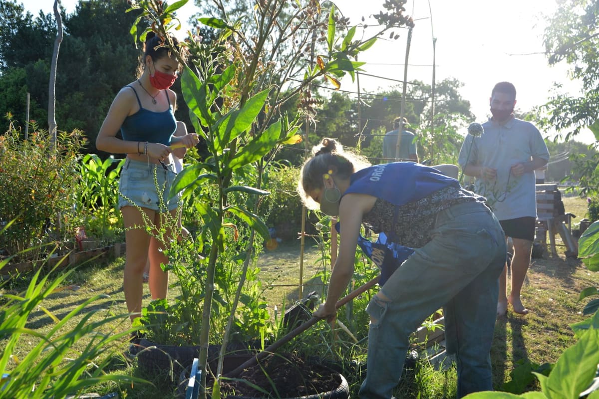 “Alimentación consciente”, “soberanía alimentaria”, “volver a los orígenes con las manos en la tierra”, son algunas de las frases que se escuchan en boca de quienes participan de las huertas comunitarias; en la foto, vecinas y vecinos porteños en un espacio en Villa Pueyrredón