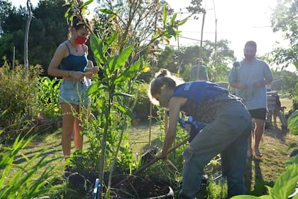 “Alimentación consciente”, “soberanía alimentaria”, “volver a los orígenes con las manos en la tierra”, son algunas de las frases que se escuchan en boca de quienes participan de las huertas comunitarias; en la foto, vecinas y vecinos porteños en un espacio en Villa Pueyrredón