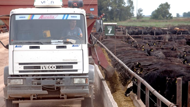 Caena busca fortalecer una industria de US$ 15.000 millones