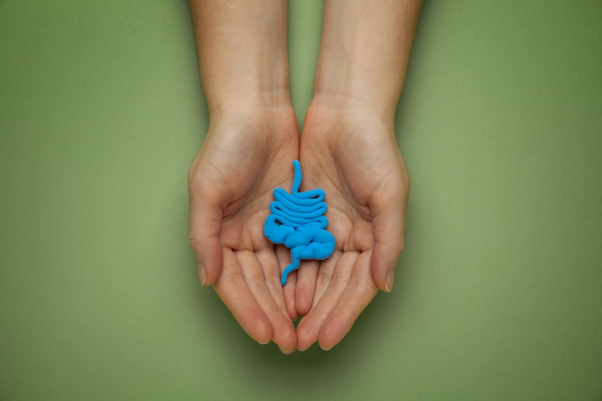 Alimentos ultraprocesados y con exceso de azúcares pueden causar daño en los intestinos