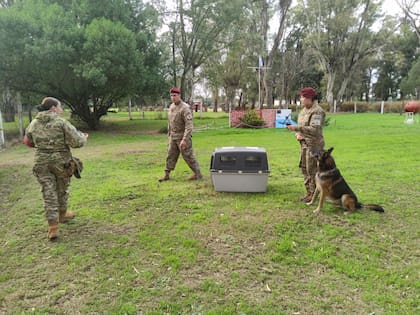 Alistamiento de las Fuerzas Armadas para brindar ayuda humanitaria