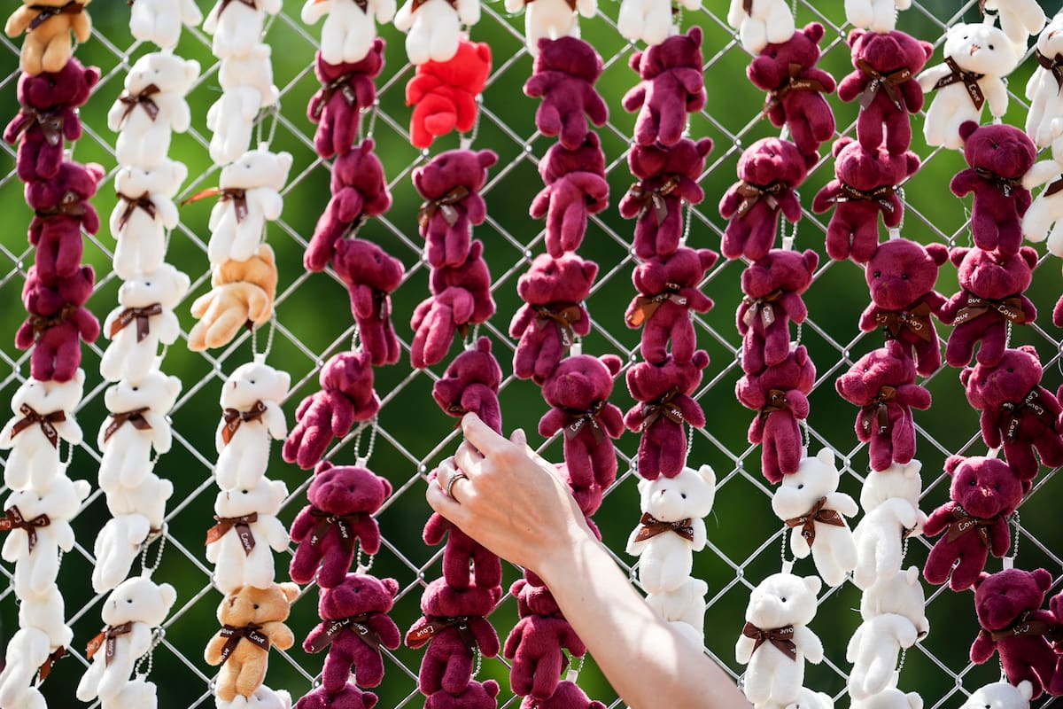 Alla Kravchenko coloca miles de ositos de peluche que representan a los niños deportados de Ucrania por Rusia desde el inicio de su invasión en 2022 en el National Mall, el jueves 23 de abril de 2026, en Washington. (Foto AP/Julia Demaree Nikhinson)