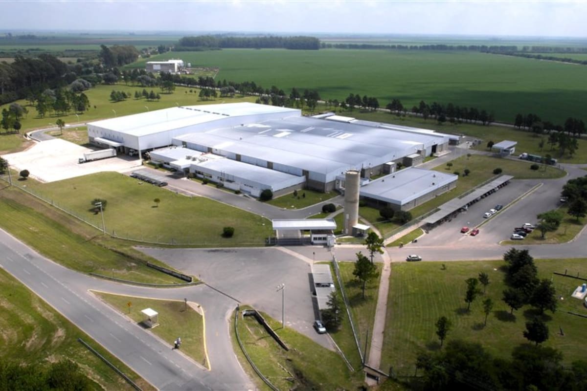 Alladio invirtió US$ 20 millones