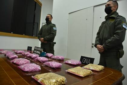 Allanamientos con siete detenidos y secuestro de 13 mil pastillas de éxtasis y 500 kilos de marihuana