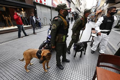 Allanamientos en la city porteña por una causa por lavado de dinero y narcotráfico