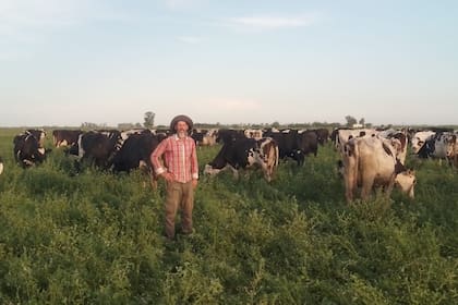 Alloati utiliza pasturas polifíticas para alimentación de las vacas lecheras