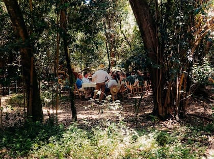 Almuerzo en el monte de La Margarita