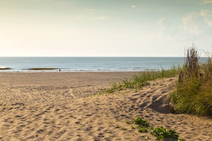 Alquilar por día en Mar de las Pampas por Airbnb durante el mes de enero sale en promedio US$88,02