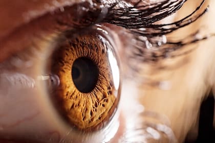 Alrededor de 2200 millones de personas en todo el mundo sufren de ceguera o de algún tipo de deficiencia visual