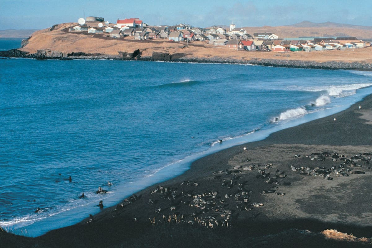 Alrededor de 350 personas viven en la isla de St. Paul, en Alaska