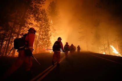 Alrededor de 950 bomberos exconvictos se pusieron en primera línea en la batalla contra los incendios en Los Angeles