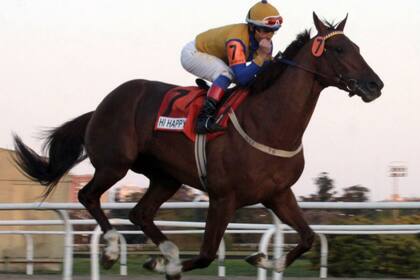El invicto Hi Happy, el Caballo del Año