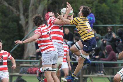 Alumni gana en las alturas contra Regatas; el equipo albirrojo está tercero en el Top 12, y el de Bella Vista cierra la tabla.