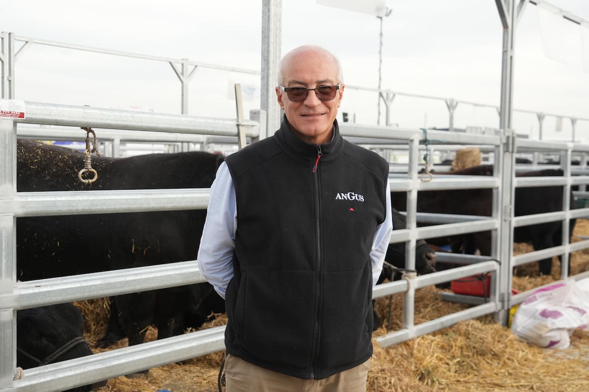 Amadeo Derito en el Centro de Remates y Exposiciones Angus en Cañuelas, provincia de Buenos Aires
