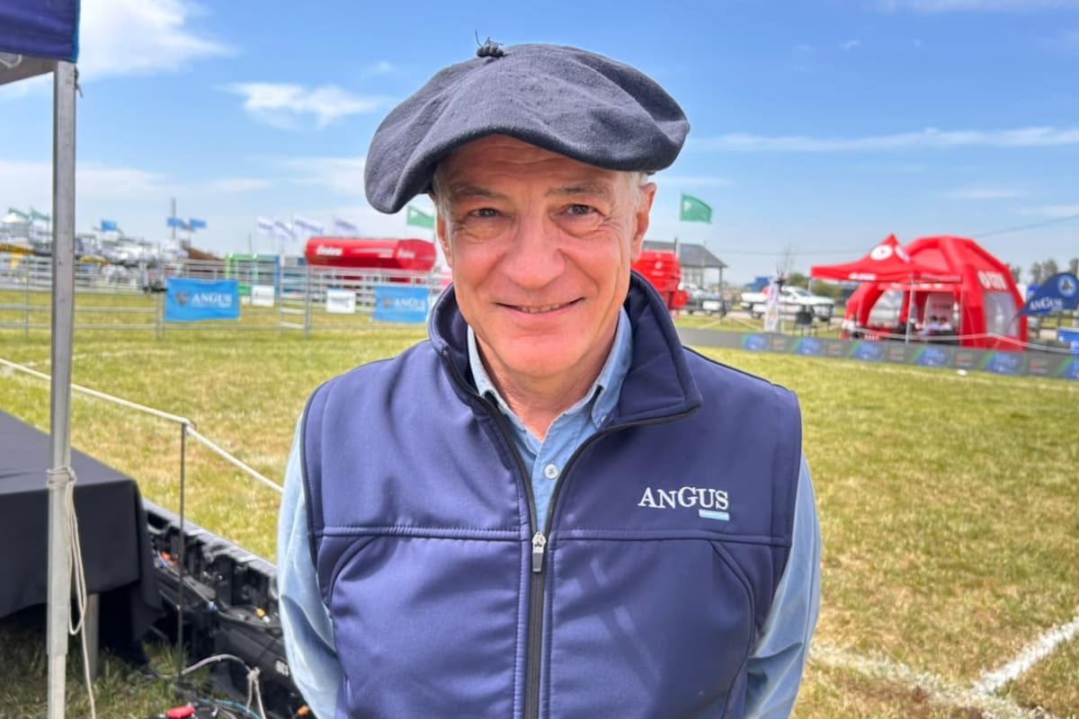 Amadeo Derito, presidente de la Asociación Argentina de Angus