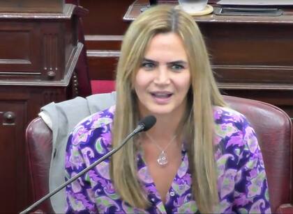 Amalia Granata en una de sus participaciones en la Cámara de Diputados