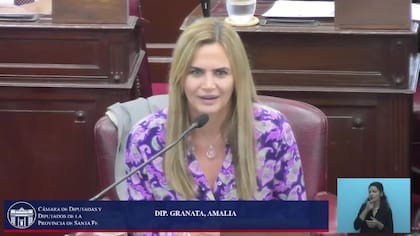 Amalia Granata es legisladora en Santa Fe