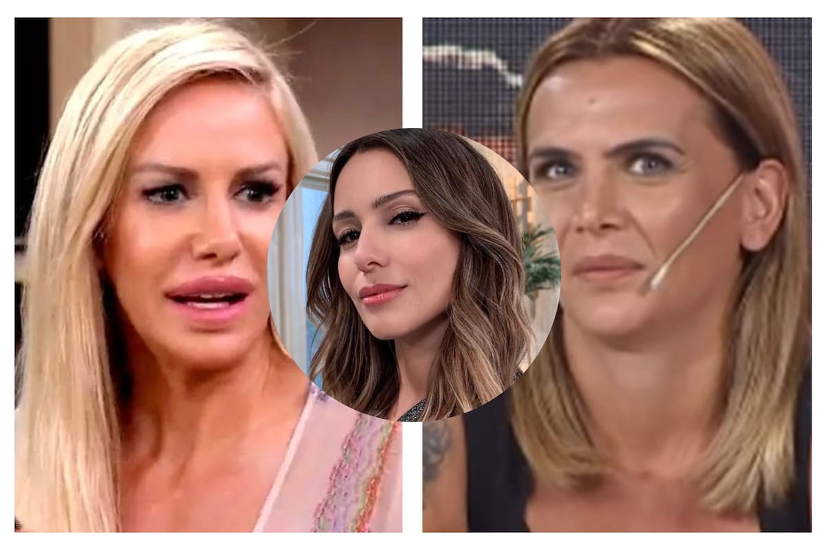 Amalia Granata, Pampita Ardohain y Luciana Salazar son algunas de las famosas que manifestaron su enojo en las redes sociales luego del anuncio de las suspensión de clases presenciales hasta fines de abril