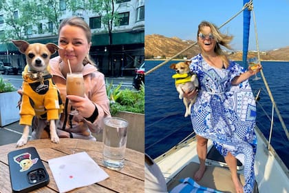 Amanda Klecker adoptó a un perro mestizo chihuahua hace 10 años y lo llevó a recorrer el mundo como acompañante