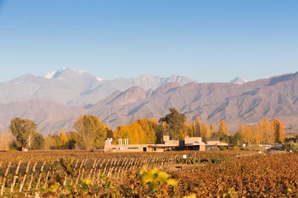 Amanecer en Las Compuertas, donde prosperan los viñedos de la Bodega Durigutti y se encuentra el restaurante.