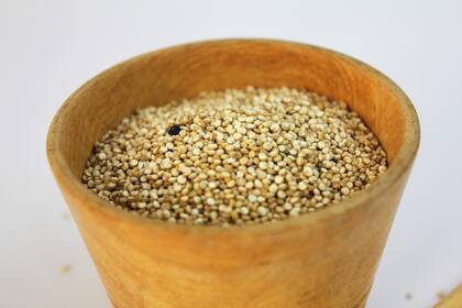 Amaranto: un alimento milenario con alto valor nutricional