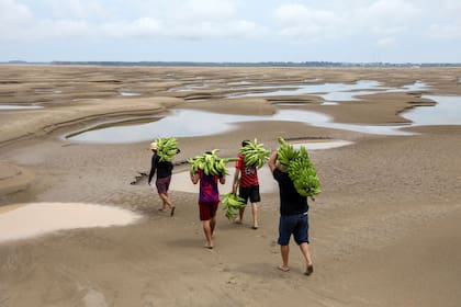 Amazonas, Brasil. Edición fotográfica de Jesica Rizzo