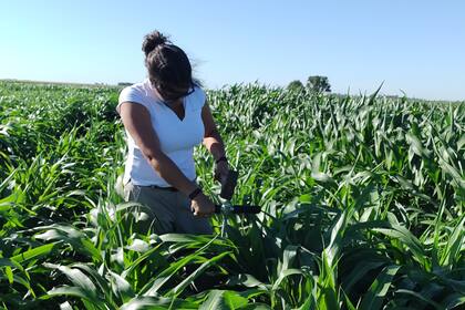 América Agroinnova articula con universidades, empresas y organismos públicos