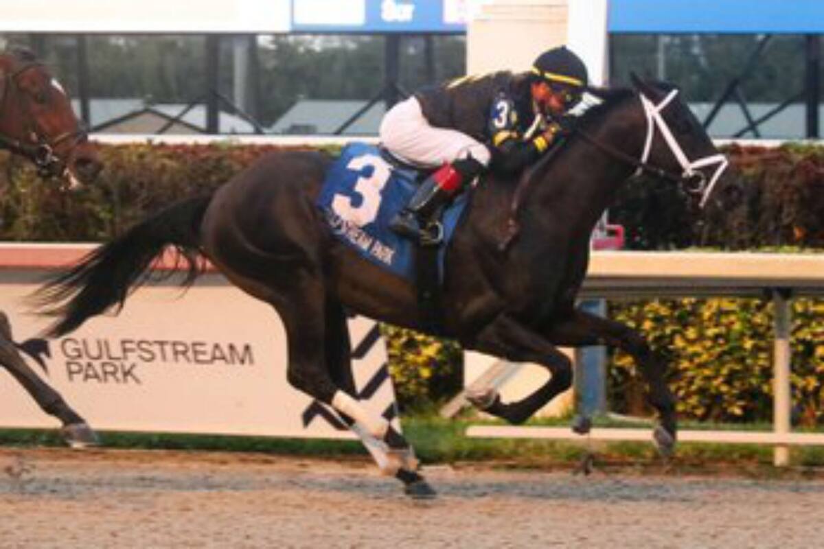 American Tattoo llegó a Gulfstream Park tras el temporal del lunes pasado y obtuvo el clásico que cerró la jornada del sábado