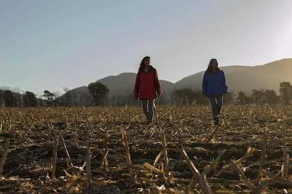 Amigas en un camino de campo (Compañía de cine).