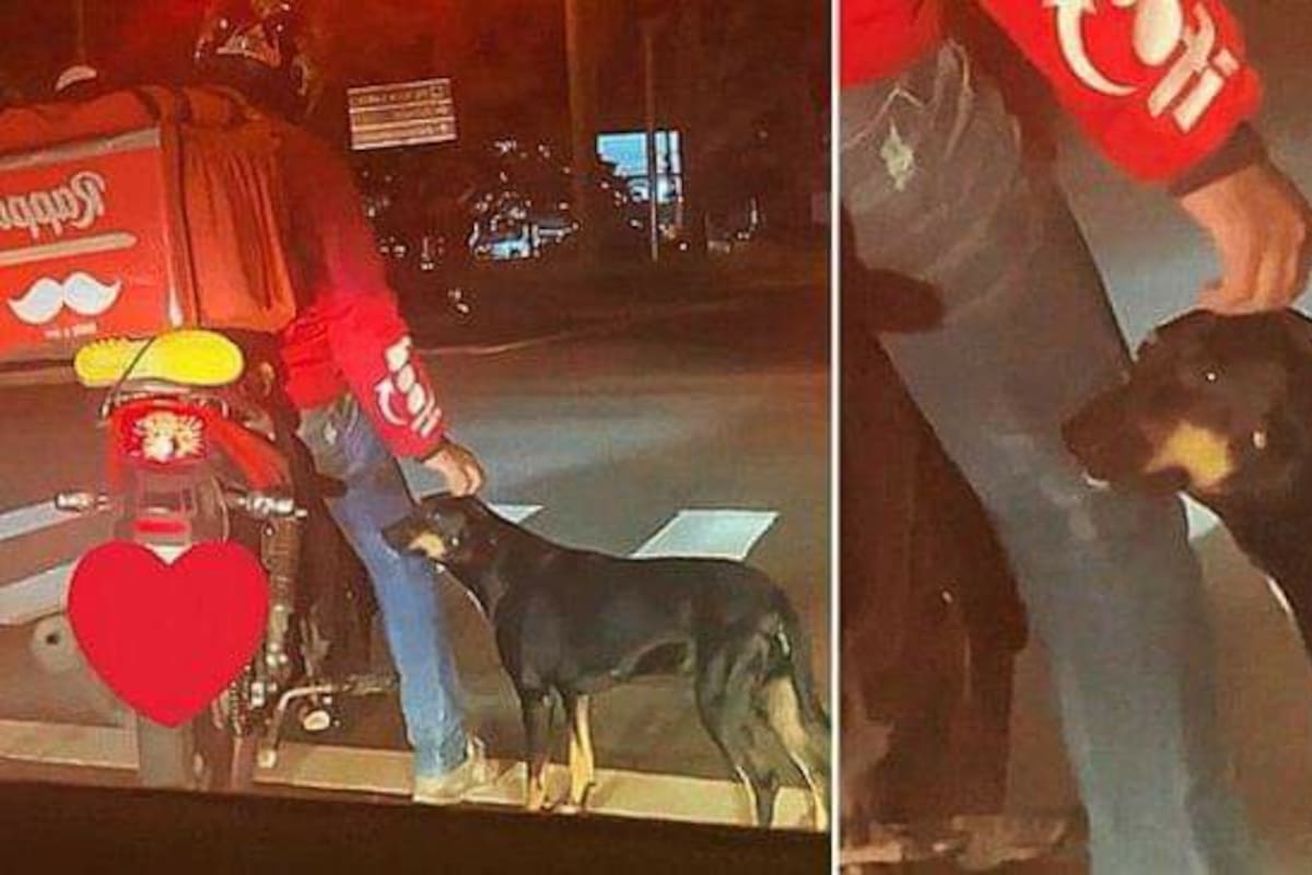 Amor callejero: un repartidor adoptó a un perro.