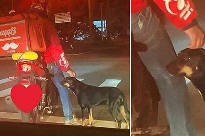 Amor callejero: un repartidor adoptó a un perro.